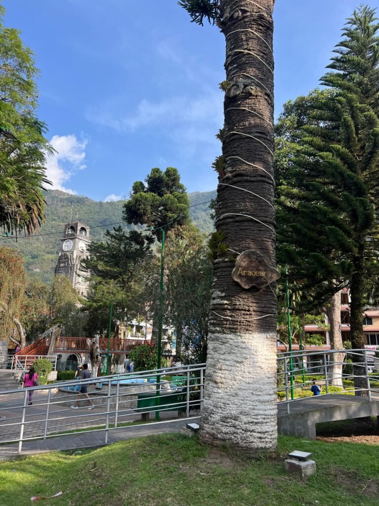 Park in the mountains