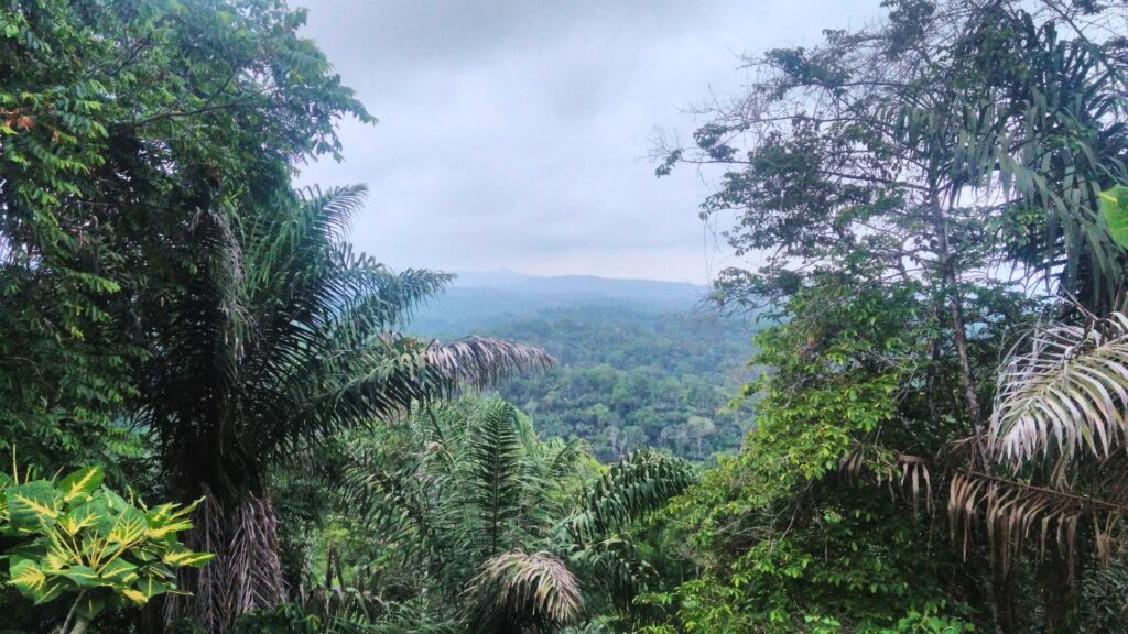 Image of mirador near La Rinconada