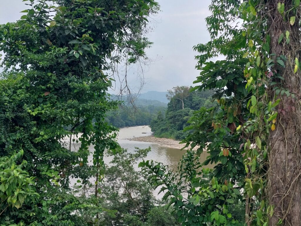 Rio Napo in Puerto Misahuallí