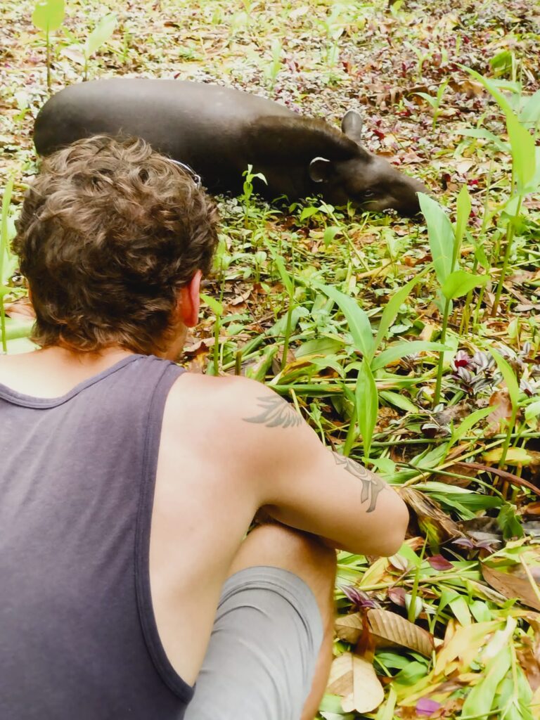 Man watching a Tapir