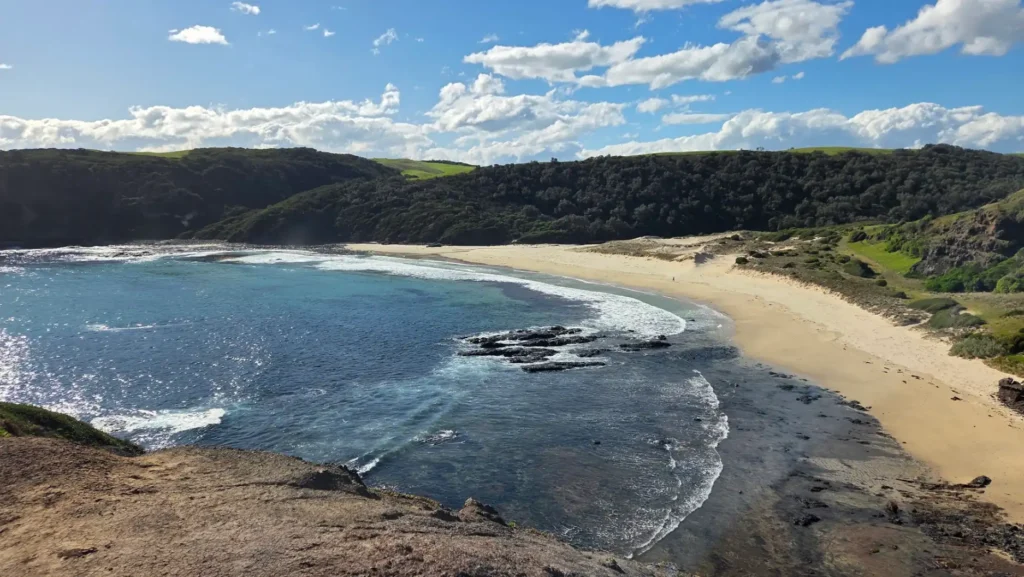 Bushrangers Bay view from the rock