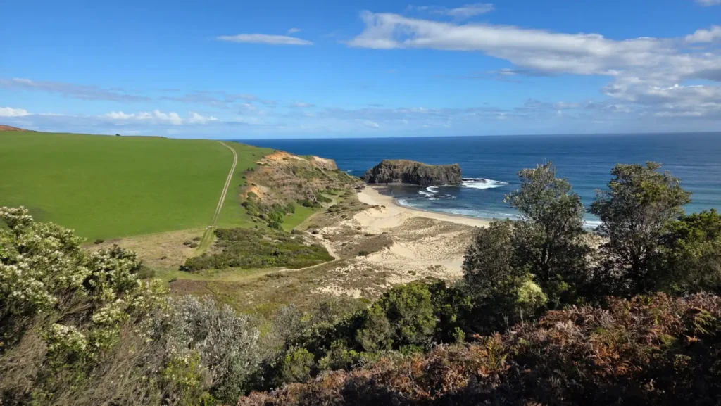 Bushrangers bay hiking trail