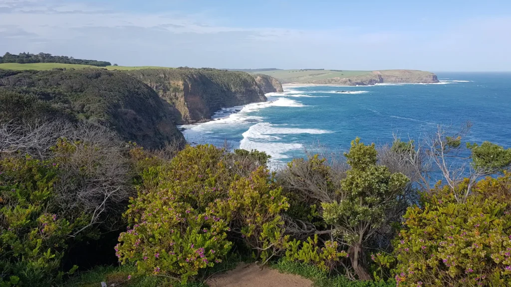 Cape Shanck Morninton Peninsula