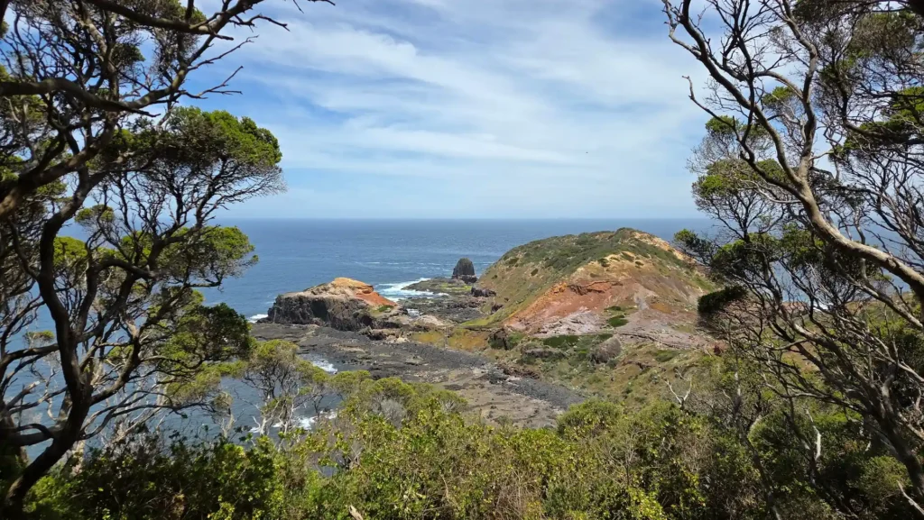 Coastal view with rocky shoreline and trees
