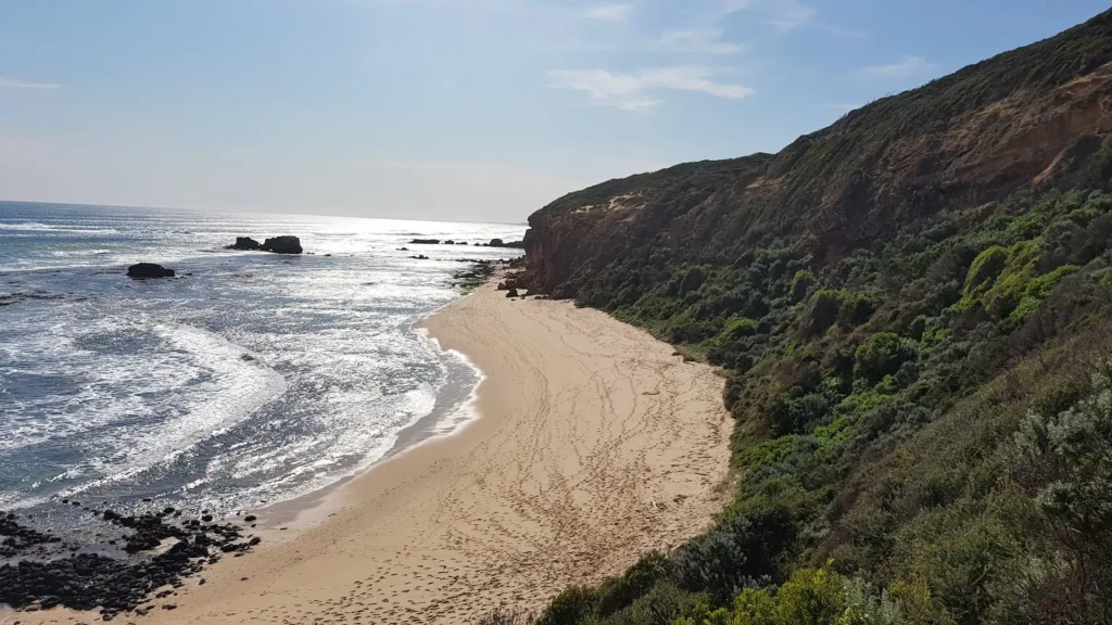 Fingal Beach Mornington Peninsula
