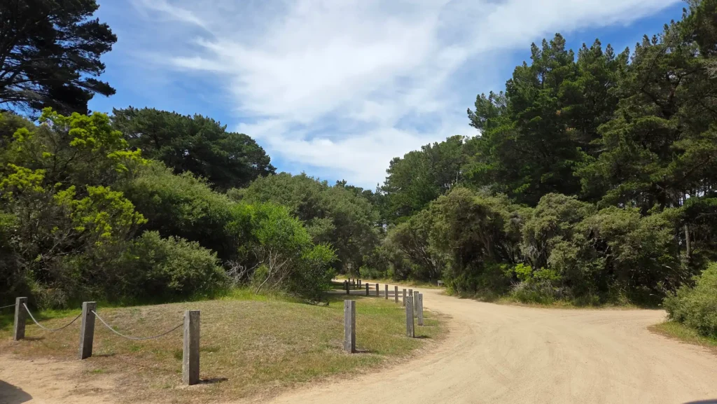 Fingal Park Carpark Mornington Peninsula