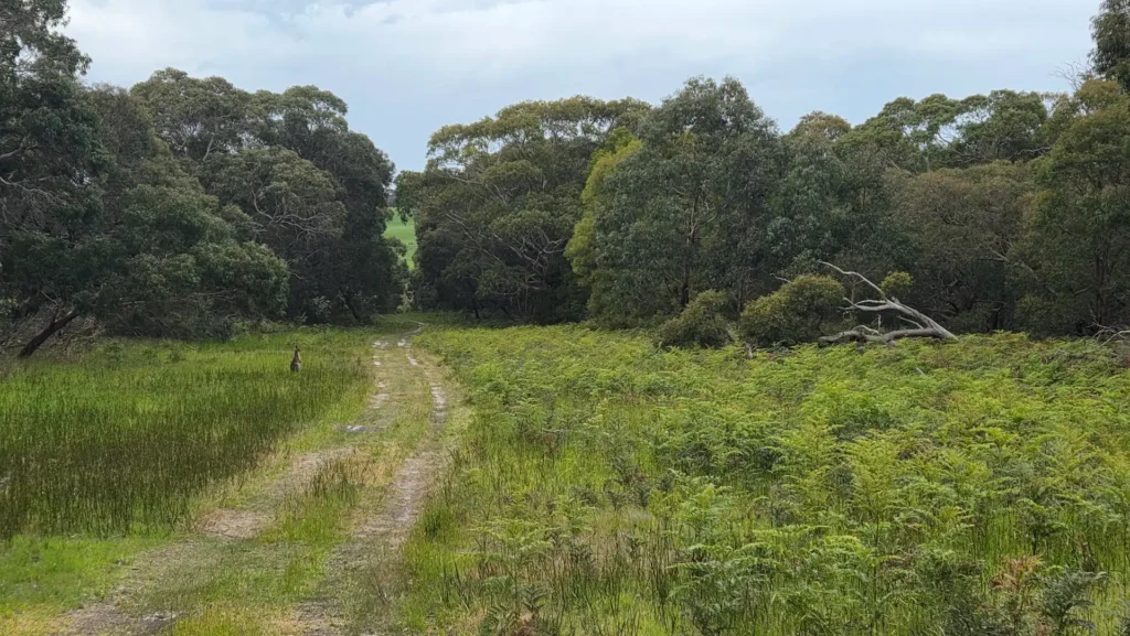 Greens Bush Mornington Peninsula