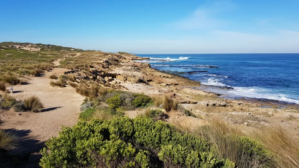 Coastal view with walking trail