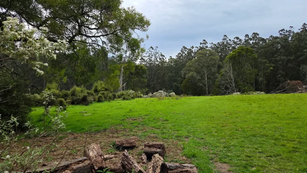 Natural clearing on the Grant's Picnic hiking trail