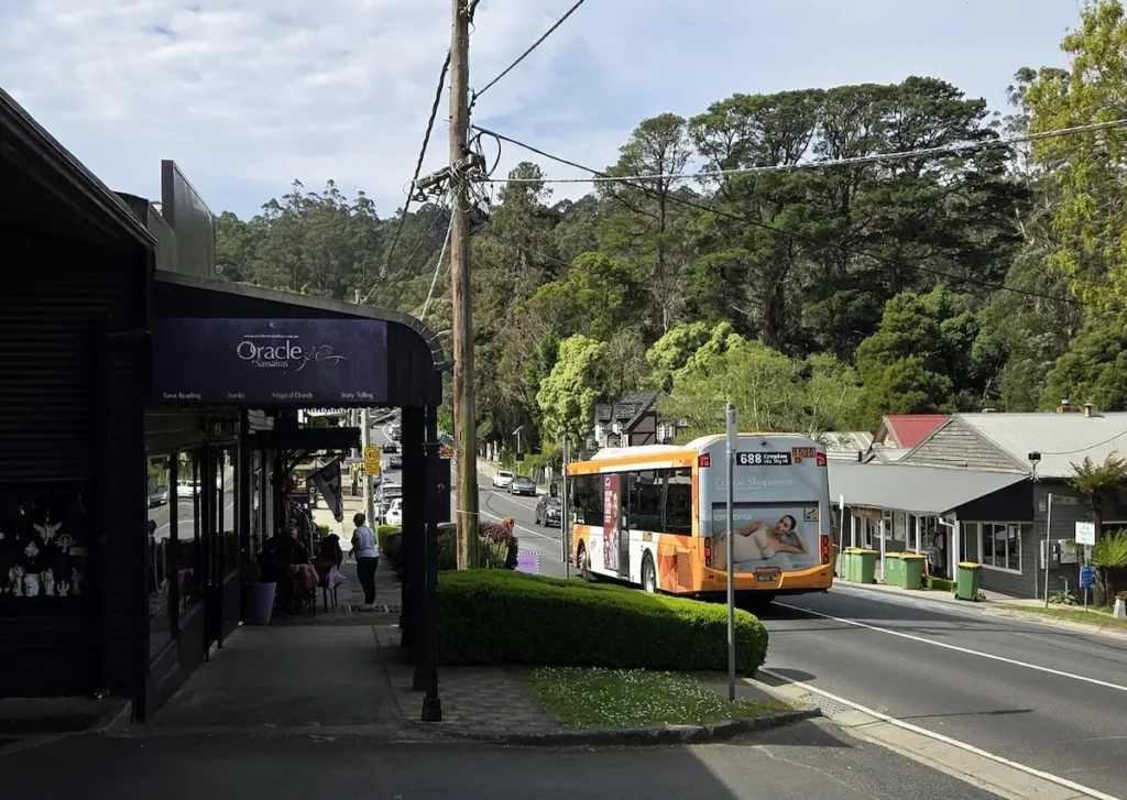 Main Street in Sassafras, Dandenongs