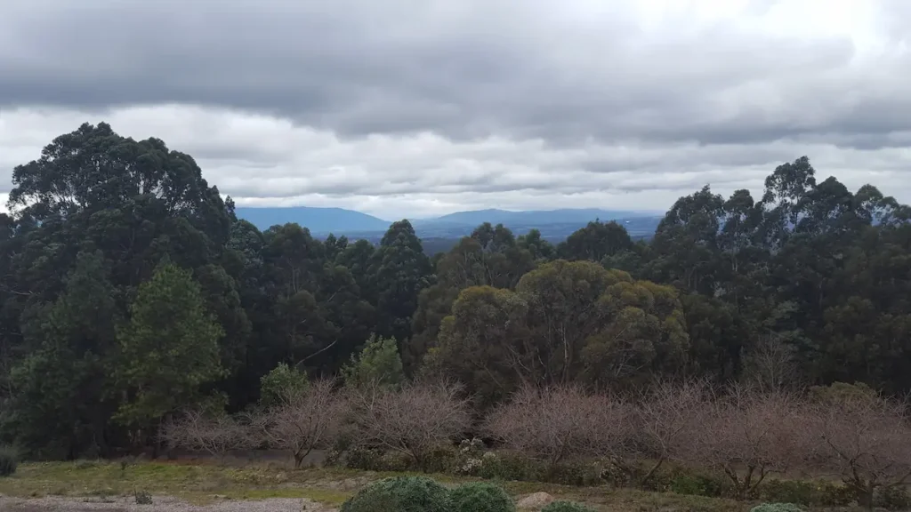 View of Sky High, Dandenong Ranges, 2016